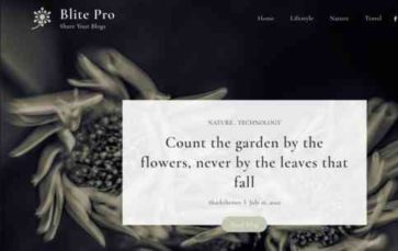 Blite Pro (screenshot desktop)