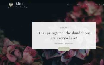 Blite (screenshot desktop)