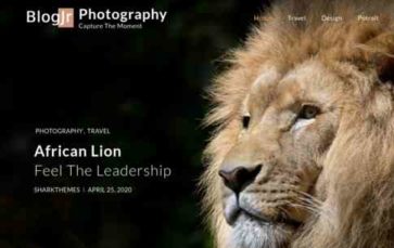 BlogJr Photography (screenshot desktop)