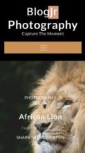BlogJr Photography (screenshot mobile)