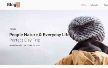BlogJr (screenshot desktop)