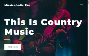 Musicaholic Pro (screenshot desktop)