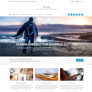 Flex Pro (Simple PRO Themes)