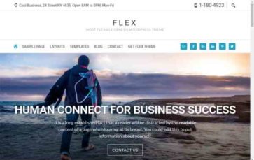Flex Pro (screenshot desktop)