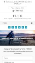Flex Pro (screenshot mobile)