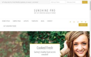 Sunshine Pro (screenshot desktop)