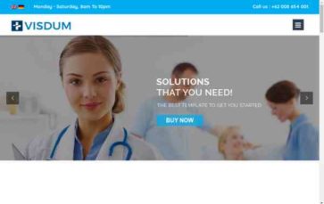 Visdum (screenshot desktop)