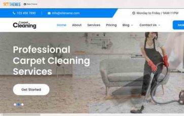Carpet Cleaning (screenshot desktop)