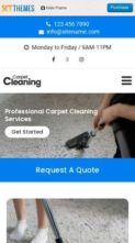 Carpet Cleaning (screenshot mobile)