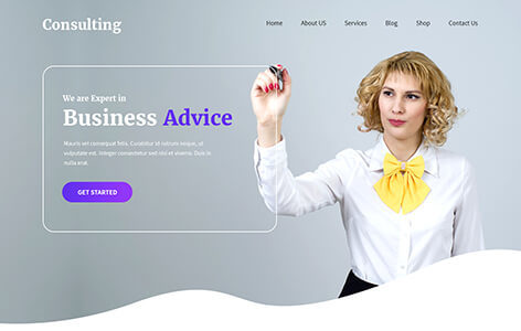 Consulting Pro (SKT Themes)
