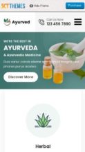 GB Ayurveda (screenshot mobile)