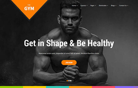 Gym Pro (SKT Themes)