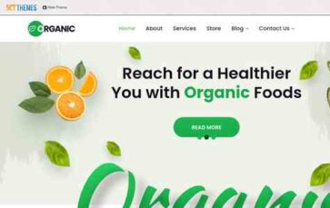 Organic (SKT Themes) - (screenshot desktop)