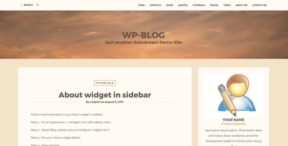 WP-Blog (SoloStream)