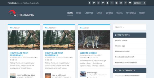 WP-Blogging (SoloStream)