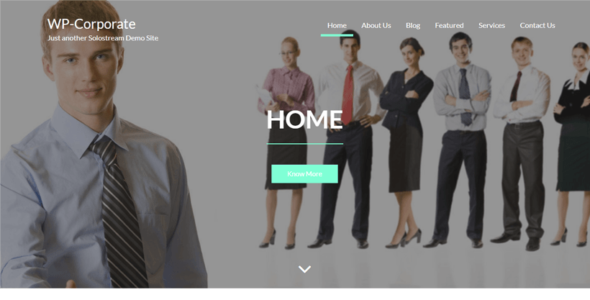 WP-Corporate (SoloStream)