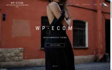 WP-Ecom (screenshot desktop)