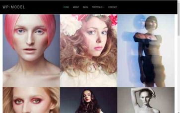 WP-Model (screenshot desktop)