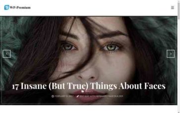 WP-Premium (SoloStream) - (screenshot desktop)