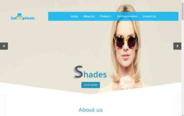 WP-Solo-Opticals (screenshot desktop)