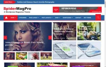 SpiderMag Pro (screenshot desktop)