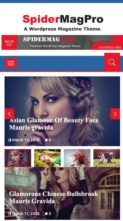 SpiderMag Pro (screenshot mobile)