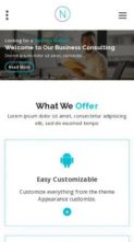 Nifty Lite (screenshot mobile)