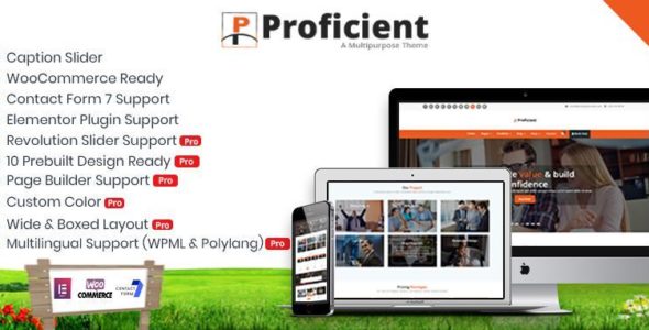 Proficient (Specia Theme)