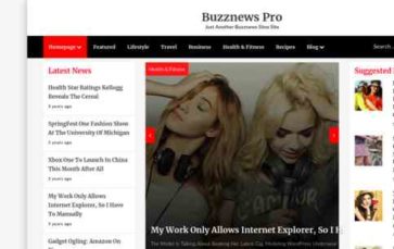 BuzzNews Pro (screenshot desktop)