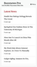 BuzzNews Pro (screenshot mobile)