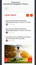 BuzzNews (screenshot mobile)