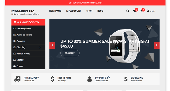eCommerce Pro (SpiderBuzz)