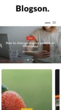 BlogSon Pro (screenshot mobile)