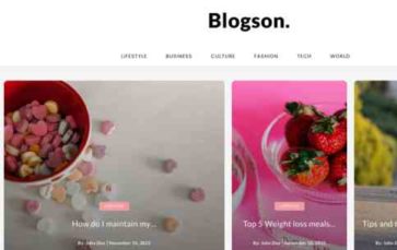 BlogSon (screenshot desktop)