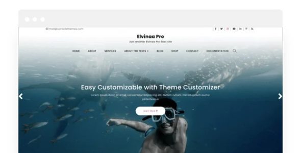 Elvinaa Pro (Spiracle Themes)