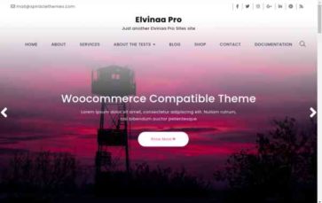 Elvinaa Pro (screenshot desktop)