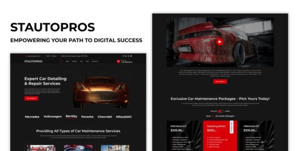 ST Auto Detailing Pro (StrivioThemes)