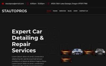 ST Auto Detailing Pro (screenshot desktop)