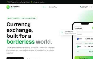 ST Currency Exchange Pro (screenshot desktop)