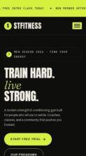ST Fitness Pro (screenshot mobile)