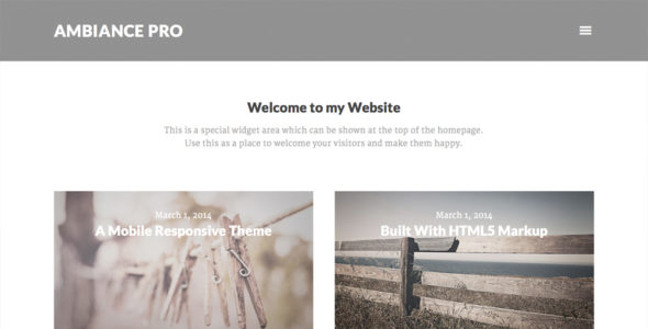Ambiance Pro (StudioPress)