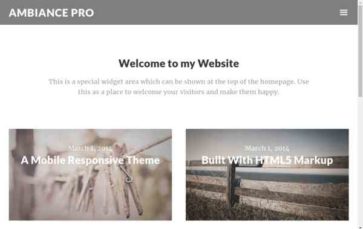 Ambiance Pro (screenshot desktop)