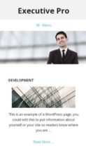 Executive Pro (StudioPress) - (screenshot mobile)