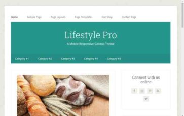 Lifestyle Pro (screenshot desktop)
