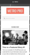 Metro Pro (screenshot mobile)
