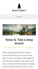 BlogFeedly Pro (screenshot mobile)