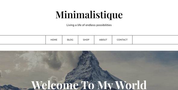 Minimalistique Pro (Superb Themes)