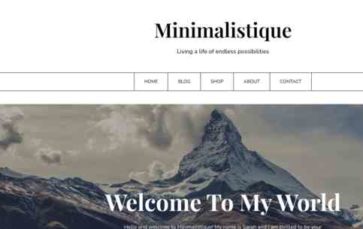 Minimalistique Pro (screenshot desktop)