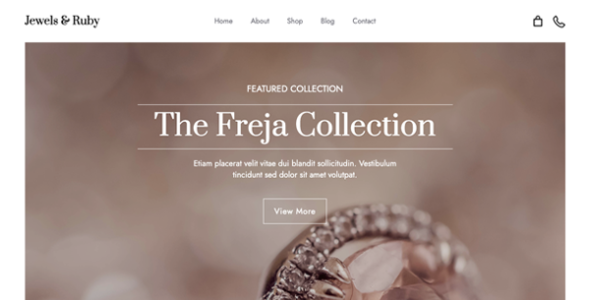 Ruby Ecommerce Pro (Superb Themes)