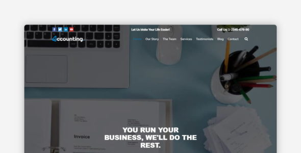Accounting Pro (TallyThemes)